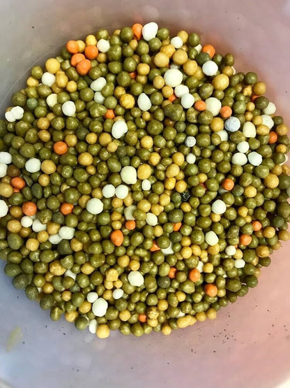 Bamboo Fertilizer - Osmocote Slow Release, Pro Formula, 6-Month Plant Food