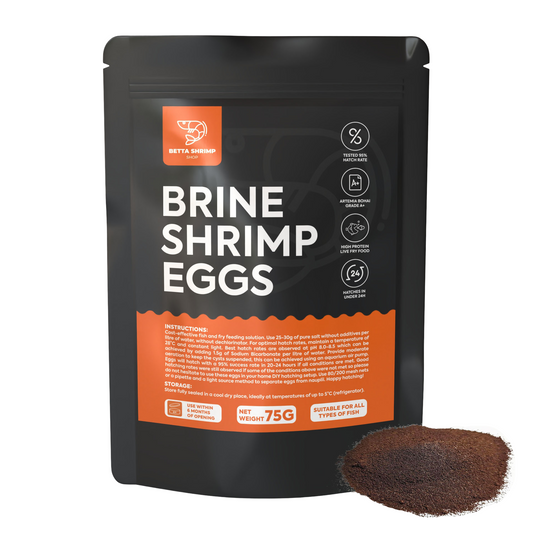 BSS™ Brine Shrimp Eggs