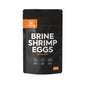 BSS™ Brine Shrimp Eggs