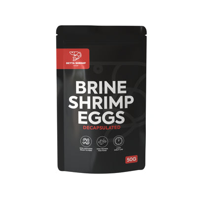 BSS™ Decapsulated Brine Shrimp Eggs