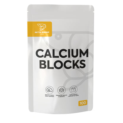 BSS™ Calcium Mineral Blocks