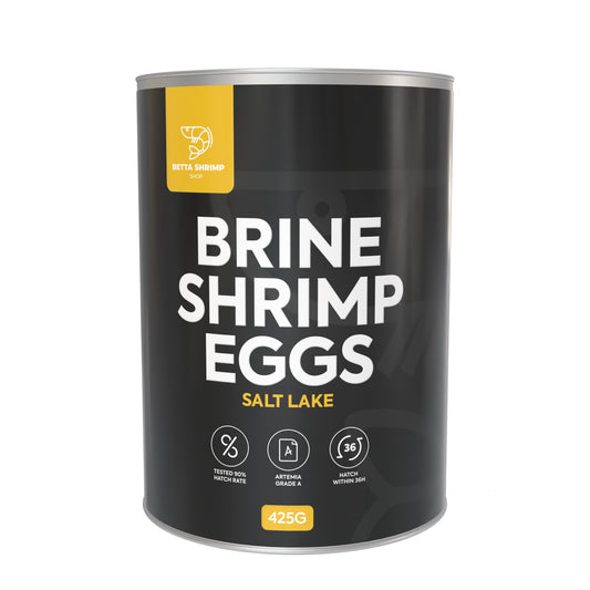BSS™ Brine Shrimp Eggs TIN - Salt Lake