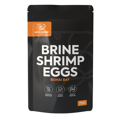 BSS™ Brine Shrimp Eggs