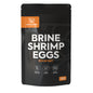 BSS™ Brine Shrimp Eggs