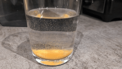 BSS™ Brine Shrimp Eggs