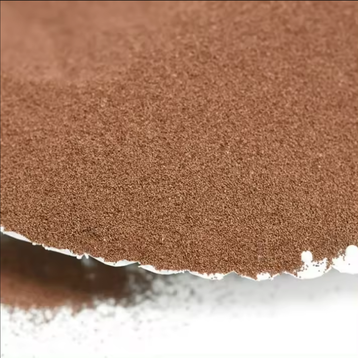 BSS™ Brine Shrimp Eggs
