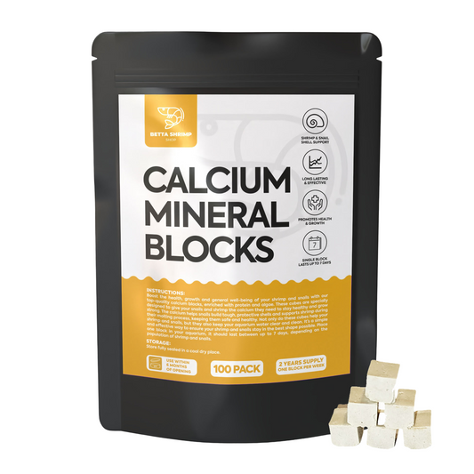 BSS™ Calcium Mineral Blocks