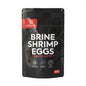 BSS™ Decapsulated Brine Shrimp Eggs